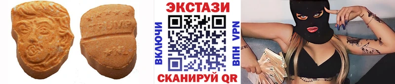 Купить закладки  Александровск  ЭКСТАЗИ таблы 