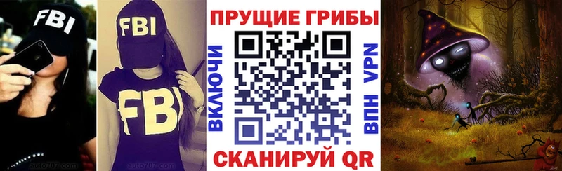 Псилоцибиновые грибы мицелий  Купить  Александровск 